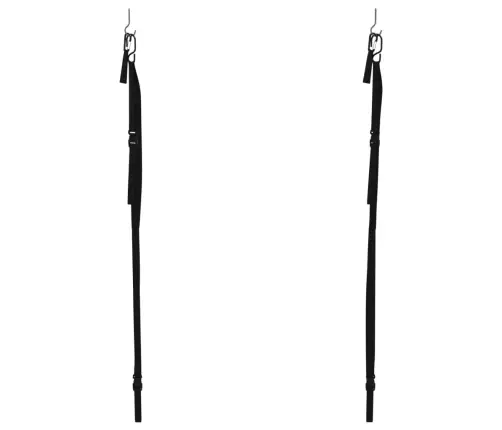 Dvigubi Baidarių Laikymo Diržai Su Irklų Spaustukais, 50Kg