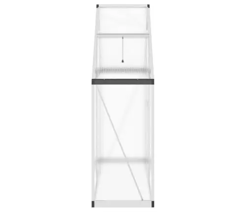 Šiltnamis Su Rėmu, Sidabrinis, 169X58X195cm Aliuminis