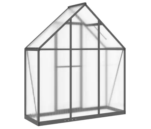 Kasvuhoone Alusraamiga, Antratsiit, 169X58X195 cm Alumiinium