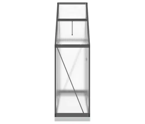 Kasvuhoone Alusraamiga, Antratsiit, 169X58X202 cm Alumiinium