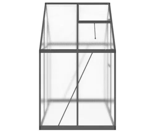 Siltumnīca Ar Pamatnes Rāmi, Antracītpelēks, 169X114X195 Cm Vidaxl