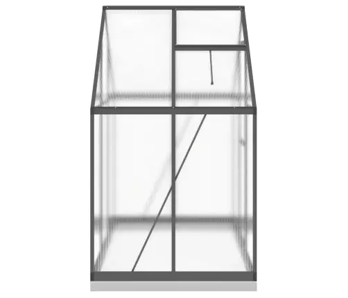 Šiltnamis Su Pagrindo Rėmu, Antracito, 169X114X202cm Aliuminis