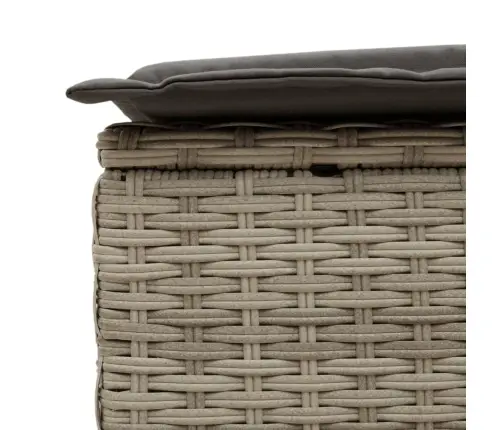 Divvietīgs Sauļošanās Krēsls Ar Matračiem, Gaiši Pelēka Pe Vidaxl