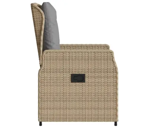 Allalastava Seljatoega Aiatoolid 2 Tk, Beež, Polürotang