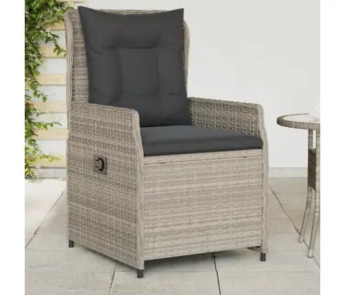 Atgāžami Dārza Krēsli, 2 Gab., Gaiši Pelēka Pe Rotangpalma Vidaxl