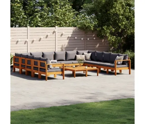 Sodo Sofos Komplektas Su Pagalvėmis, 10 Dalių, Akacijos Masyvas