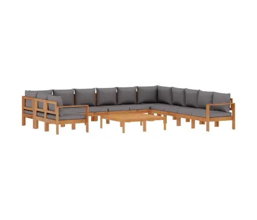 9-Osaline Aiadiivanikomplekt Patjadega, Akaatsiapuit