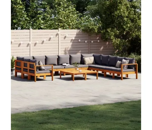 9-Osaline Aiadiivanikomplekt Patjadega, Akaatsiapuit