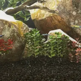 Akvariumo Smėlis, Juodos Spalvos, 10Kg, 0,2–2Mm