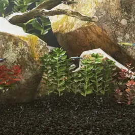 Akvariumo Smėlis, Juodos Spalvos, 25Kg, 0,2–2Mm