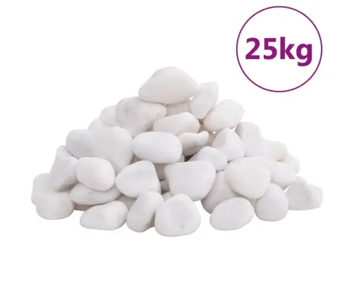 Pulēti Oļi, 25 Kg, Balti, 2-5 Cm Vidaxl
