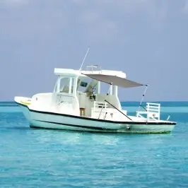 T Tipo Uždangos Prailginimas, Antracito, 174X205X(115-194)Cm