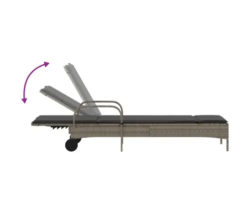 Sauļošanās Zviļņi Ar Matračiem 2Gab Gaiši Pelēka Pe Rotangpalma Vidaxl