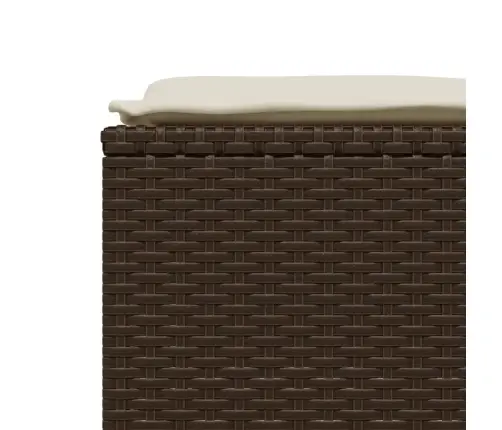 Sofos Komplektas Su Pagalvėlėmis, 5 Dalių, Rudas, Poliratanas