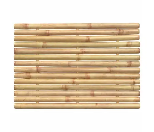 Vannasistabas Paklāji, 2 Gab., Bambuss, 50X35 Cm Vidaxl