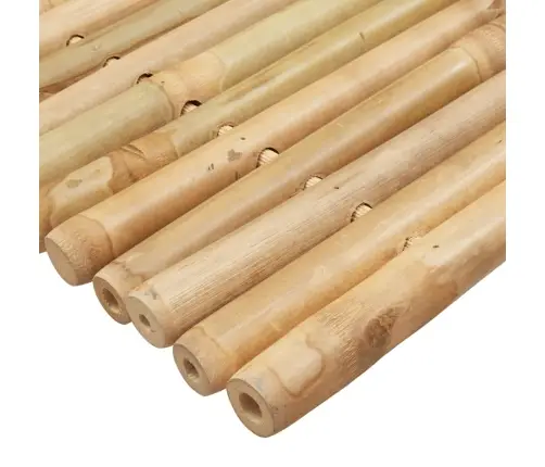 Vannasistabas Paklāji, 2 Gab., Bambuss, 50X35 Cm Vidaxl