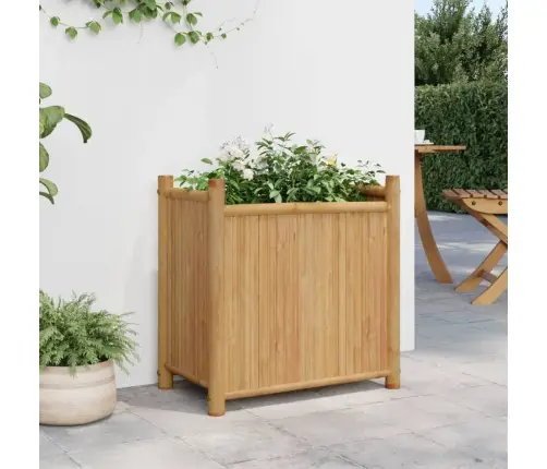 Lovelis, 50X30X50cm Bambukas