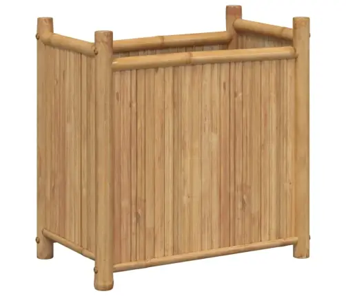 Lovelis, 50X30X50cm Bambukas