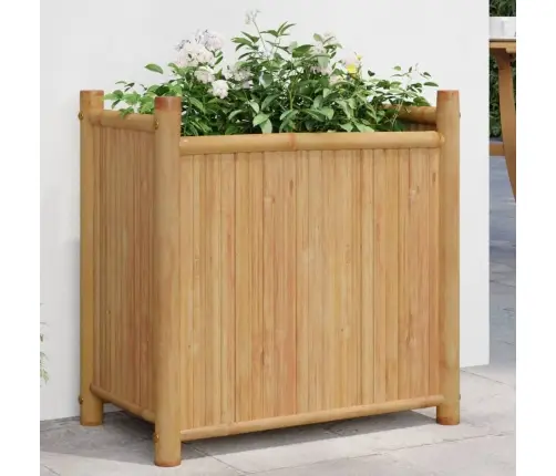 Lovelis, 50X30X50cm Bambukas