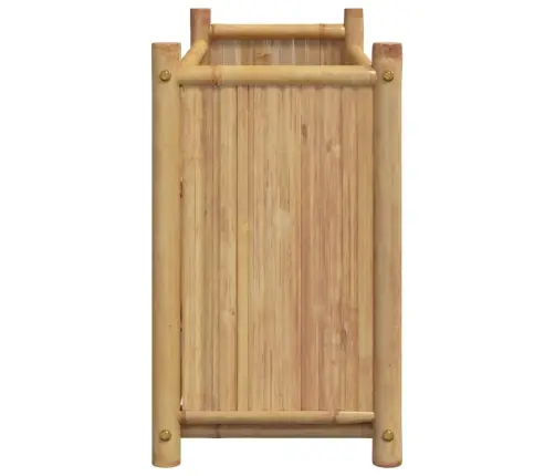 Taimekast, 100 X 30 X 50 cm Bambus