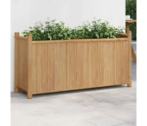 Taimekast, 100 X 30 X 50 cm Bambus