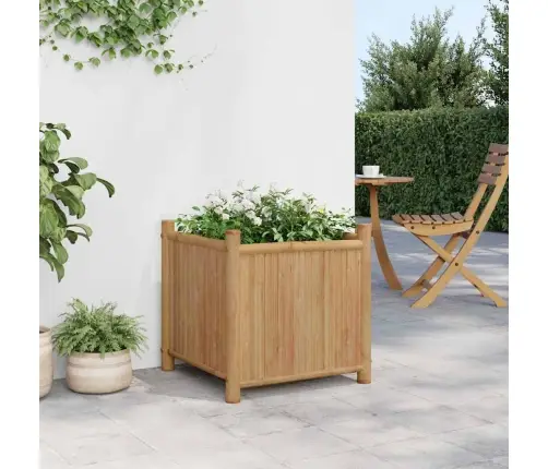 Lovelis, 50X50X50cm Bambukas