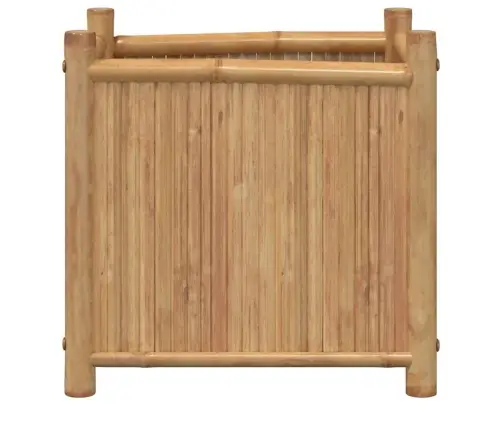 Lovelis, 50X50X50cm Bambukas