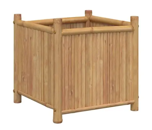 Lovelis, 50X50X50cm Bambukas