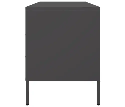 Televizoriaus Spintelė, Juoda, 100,5X39X50,5cm Plienas Televizoriaus Spintelė, Juoda, 100,5X39X50,5cm Plienas