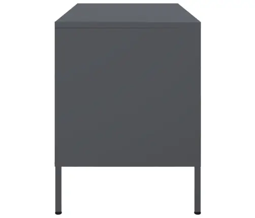 Televizoriaus Spintelė, Antracito, 68X39X50,5cm Plienas