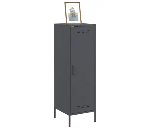 Augstais Skapītis, Antracītpelēks, 36X39X113 Cm, Tērauds Vidaxl