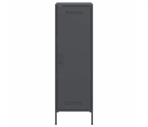 Augstais Skapītis, Antracītpelēks, 36X39X113 Cm, Tērauds Vidaxl
