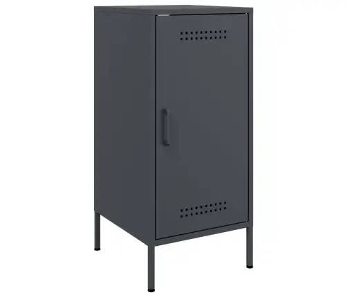 Puhvetkapp, Antratsiithall, 36X39X79 cm Teras