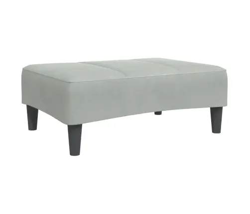 2-Vietīga Dīvāngulta Ar Kāju Balstu, Gaiši Pelēks Samts Vidaxl