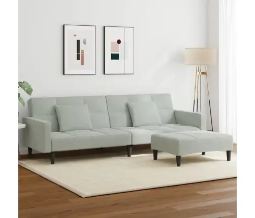 2-Vietīga Dīvāngulta Ar Kāju Balstu, Gaiši Pelēks Samts Vidaxl