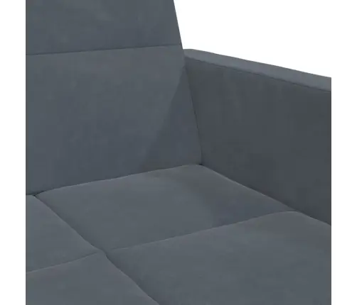 2-Vietīga Dīvāngulta Ar Kāju Balstu, Tumši Pelēks Samts Vidaxl