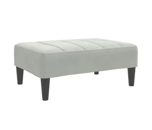 2-Vietīga Dīvāngulta Ar Kāju Balstu, Gaiši Pelēks Samts Vidaxl