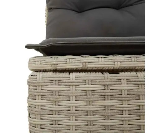 9-Daļīgs Dārza Dīvāna Komplekts,Matrači, Gaiši Pelēka Pe Pinums Vidaxl