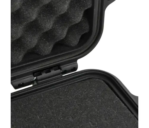 Kaasaskantav Transpordikohver, Must, 30X24,5X12,5 cm Pp