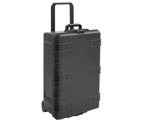 Pārnēsājams Lidojumu Koferis, Melns, 79,5X51,5X30,5 Cm, Pp Vidaxl