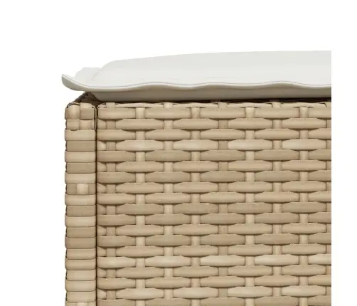 5-Osaline Aiadiivani Komplekt Patjadega, Beež, Polürotang