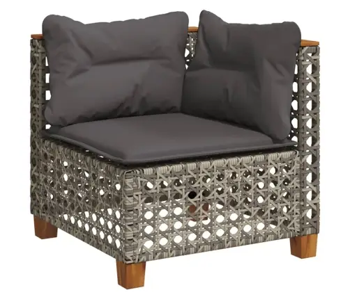 9-Daļīgs Dārza Dīvāna Komplekts Ar Matračiem, Pelēks Pe Pinums Vidaxl