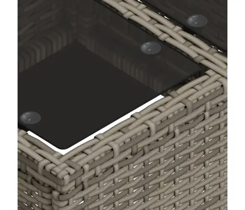 2-Daļīgs Dārza Dīvānu Komplekts, Pelēka Pe Rotangpalma, Stikls Vidaxl