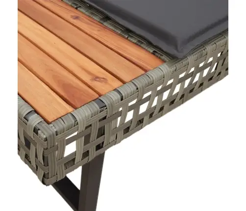 2-Daļīgs Dārza Dīvānu Komplekts, Pelēka Pe Rotangpalma, Stikls Vidaxl