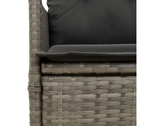 9-Daļīgs Dārza Mēbeļu Komplekts Ar Matračiem, Pe Rotangpalma Vidaxl