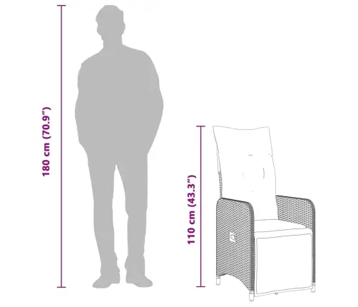 Bistro Komplektas Su Pagalvėlėmis, 9 Dalių, Pilkas, Poliratanas