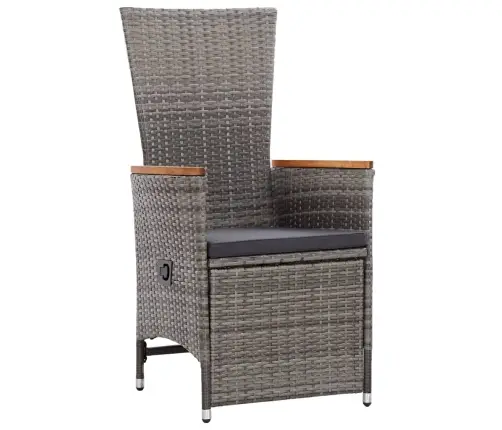 Sodo Komplektas Su Pagalvėlėmis, 11 Dalių, Pilkas, Poliratanas