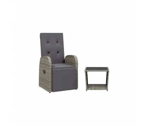 2-Daļīgs Dārza Mēbeļu Komplekts, Matrači, Pelēka Pe Rotangpalma Vidaxl