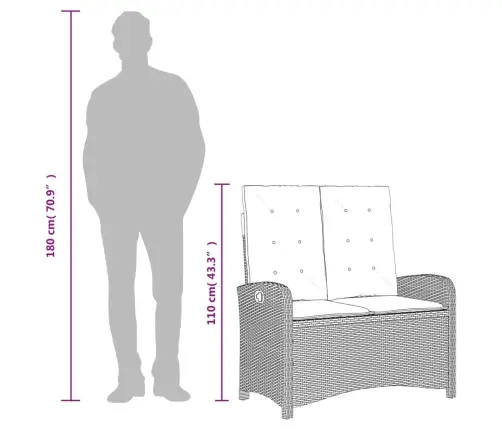 Sodo Komplektas Su Pagalvėlėmis, 2 Dalių, Smėlio, Poliratanas