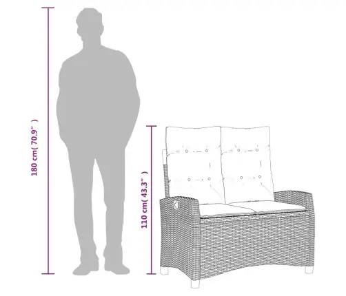 Sodo Komplektas Su Pagalvėlėmis, 2 Dalių, Smėlio, Poliratanas